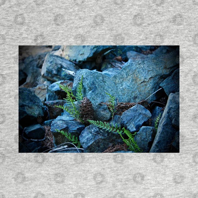 Tiny Ferns and Pinecone by Rebekah Slick